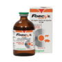 FORCYL SOL INY 100 ML.